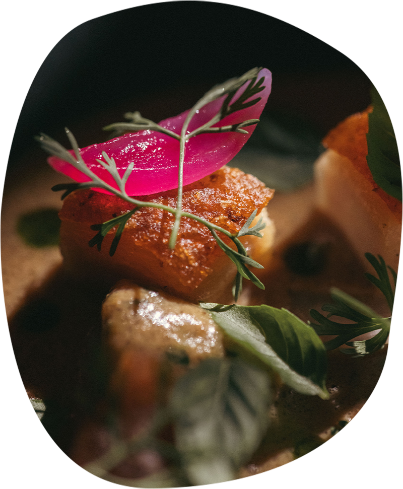 Michelin Star-Awarded Mexican Eats_